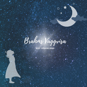 韩国19➕主播内部福利vip
